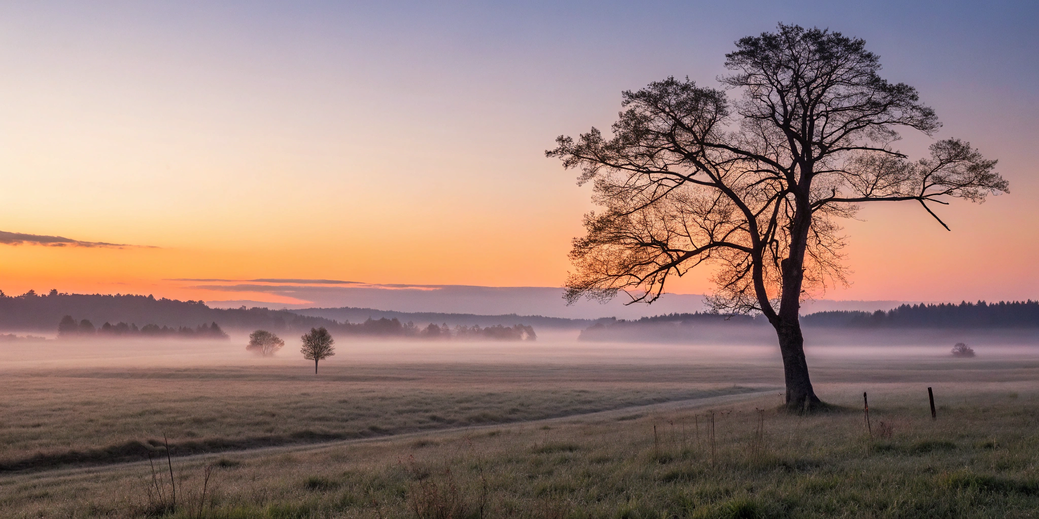 A peaceful sunrise over a misty field, a daily reminder to seek ye first the kingdom of heaven.