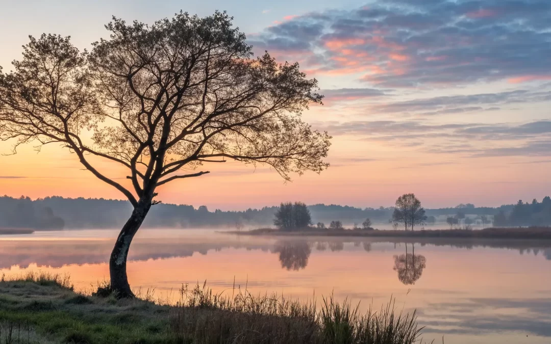 A peaceful sunrise over a misty lake, a quiet moment for contemplative Christianity.
