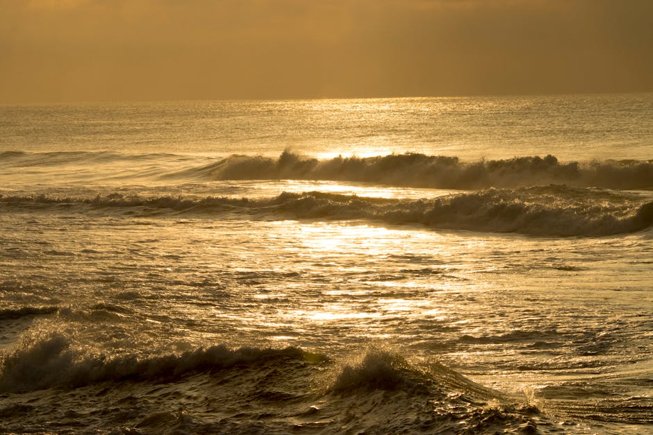 A golden sunrise over a calm ocean symbolizing the inner peace and spiritual transformation from practicing A Course in Miracles